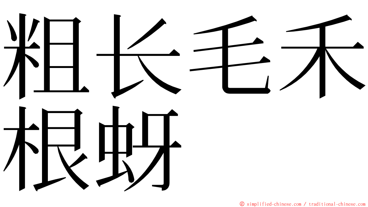 粗长毛禾根蚜 ming font