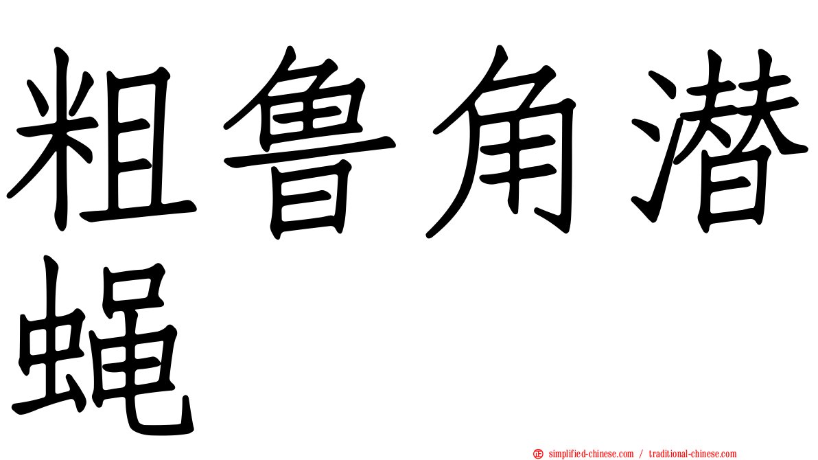 粗鲁角潜蝇