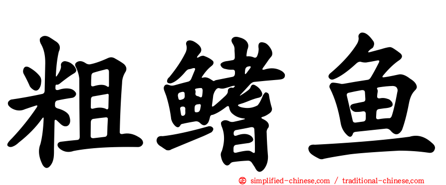 粗鳍鱼