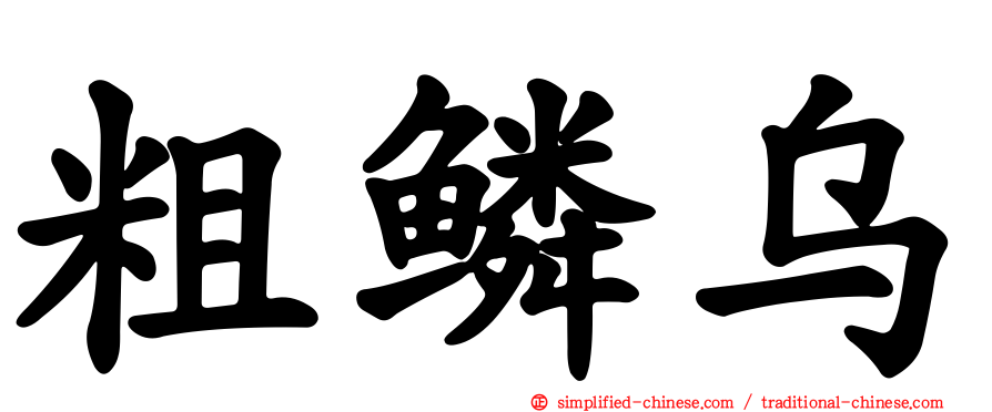 粗鳞乌