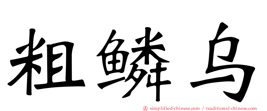 粗鳞乌