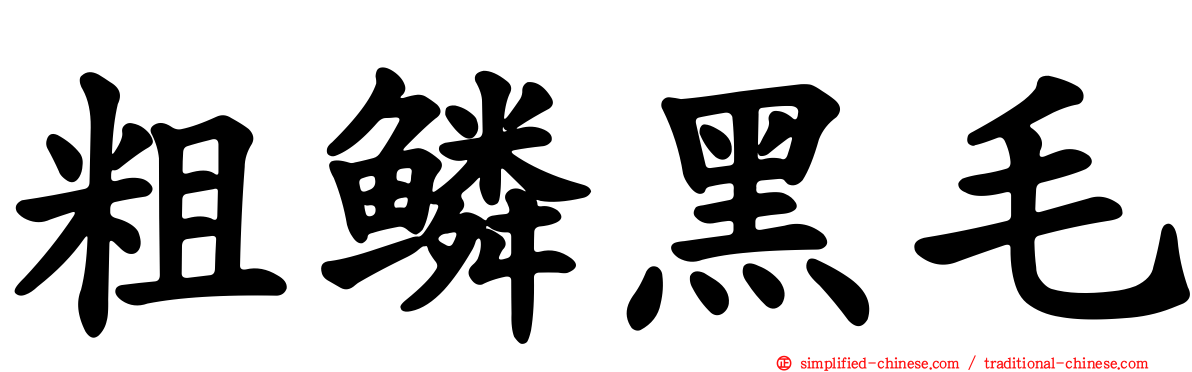 粗鳞黑毛