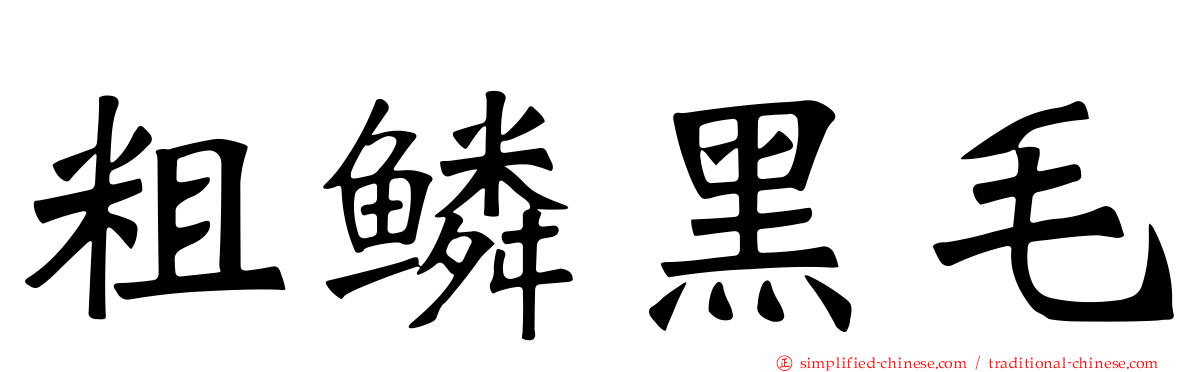 粗鳞黑毛