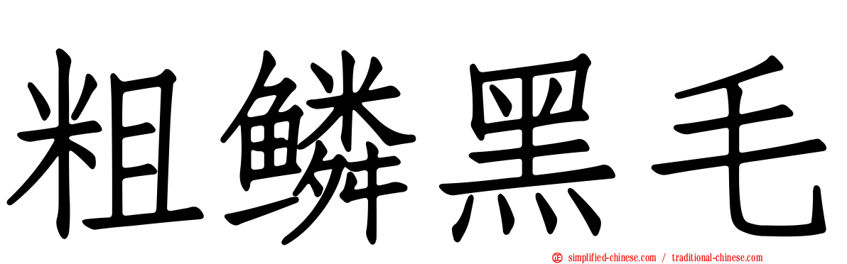 粗鳞黑毛