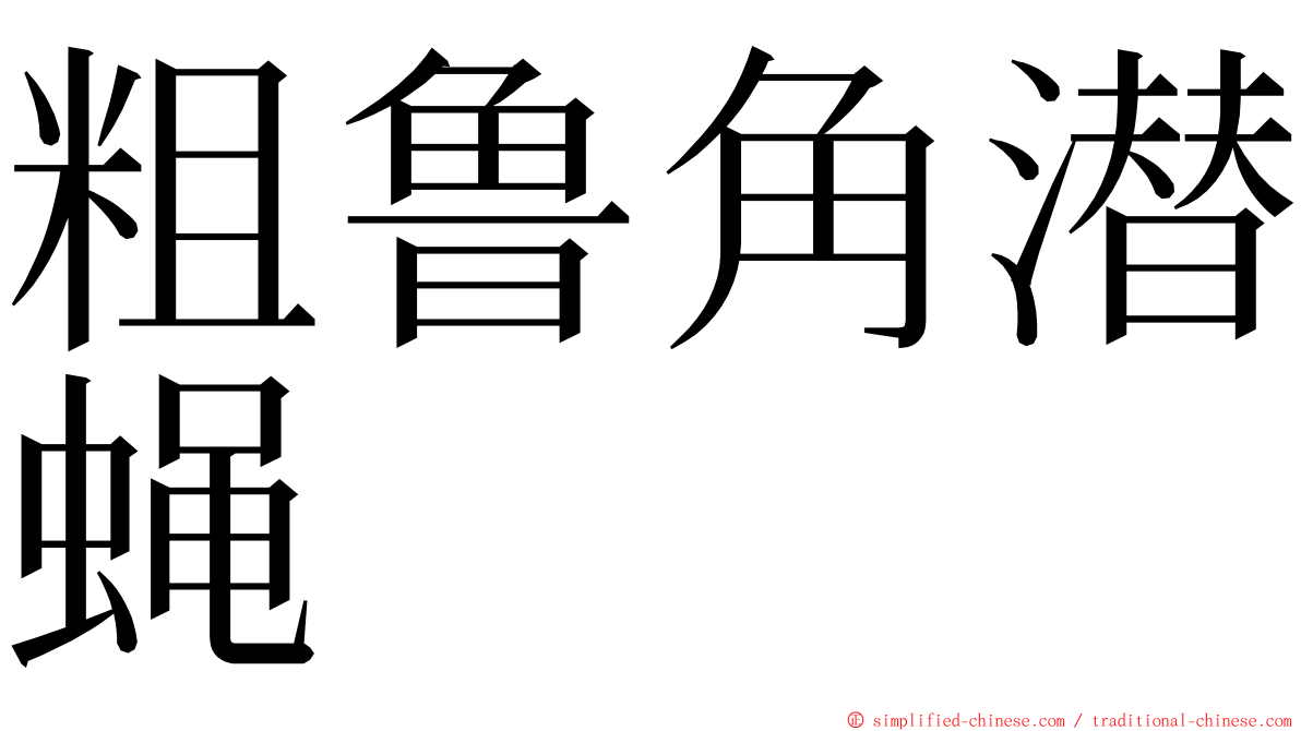 粗鲁角潜蝇 ming font