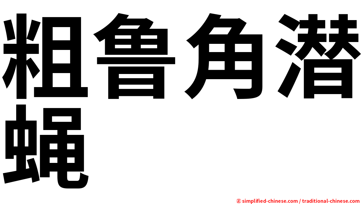 粗鲁角潜蝇