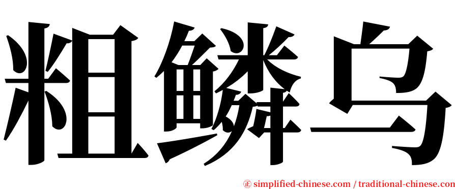 粗鳞乌 serif font