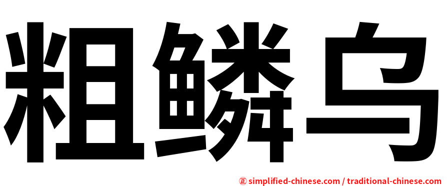粗鳞乌