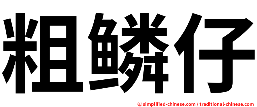粗鳞仔