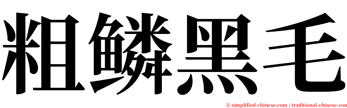 粗鳞黑毛 serif font