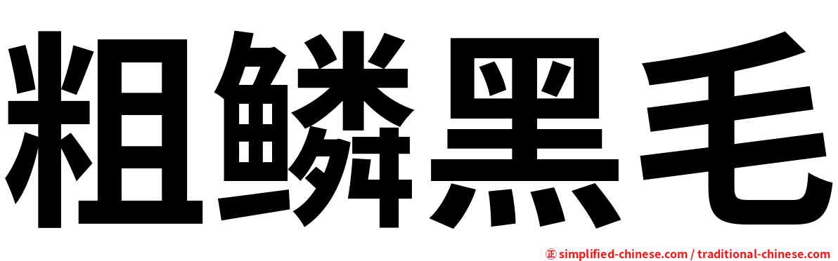 粗鳞黑毛