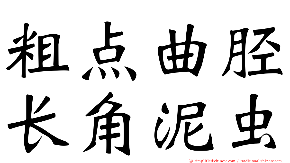 粗点曲胫长角泥虫