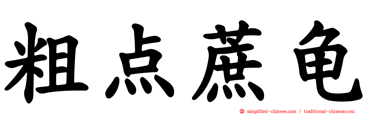 粗点蔗龟