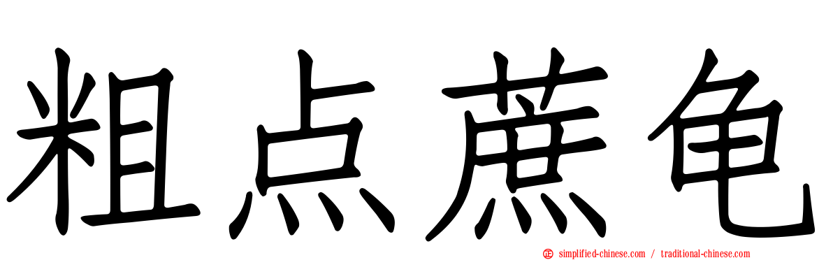 粗点蔗龟