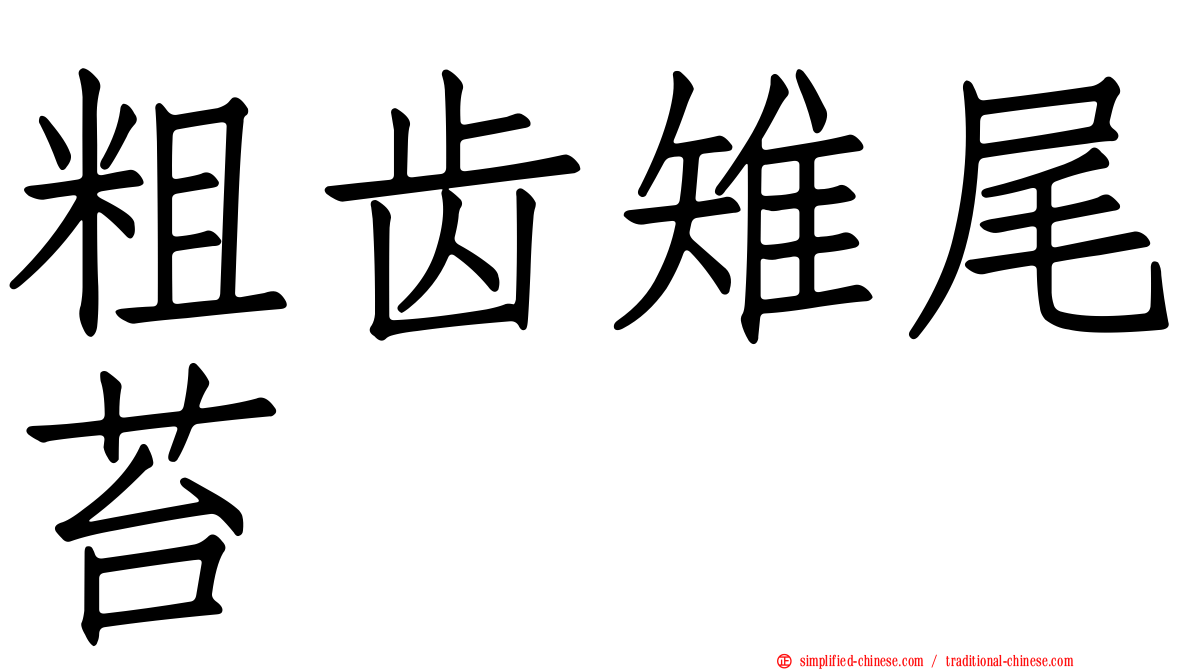 粗齿雉尾苔