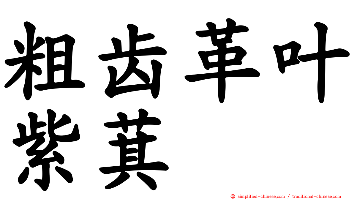 粗齿革叶紫萁