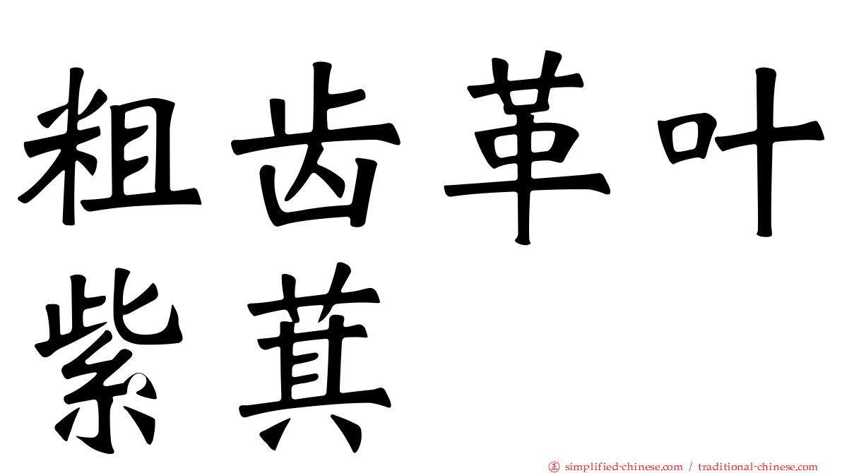 粗齿革叶紫萁