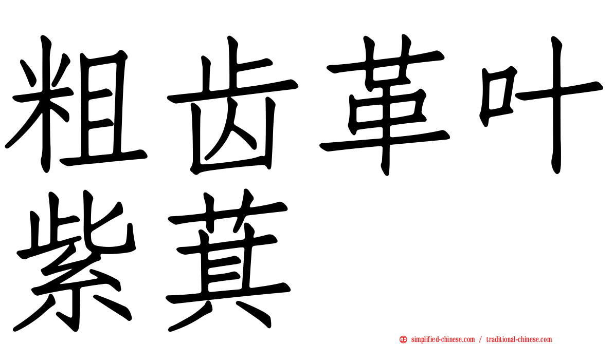 粗齿革叶紫萁