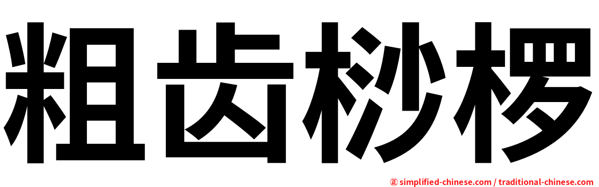 粗齿桫椤