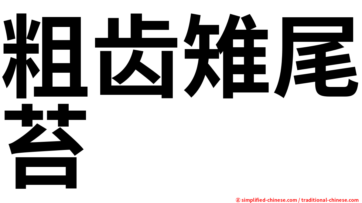 粗齿雉尾苔