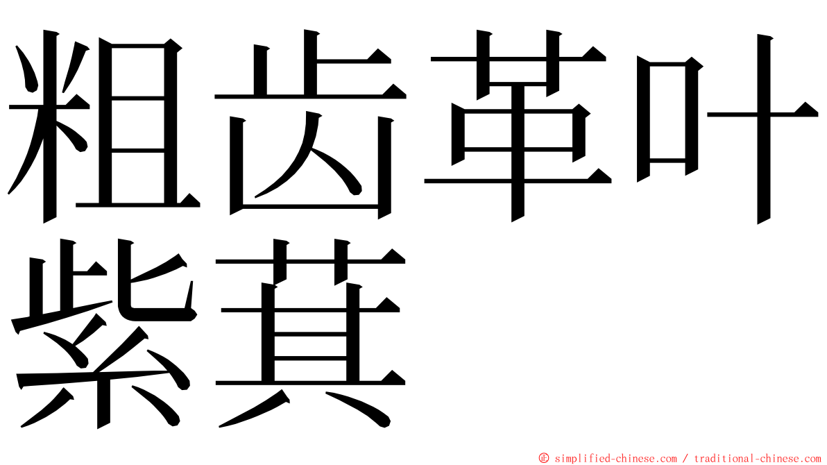 粗齿革叶紫萁 ming font