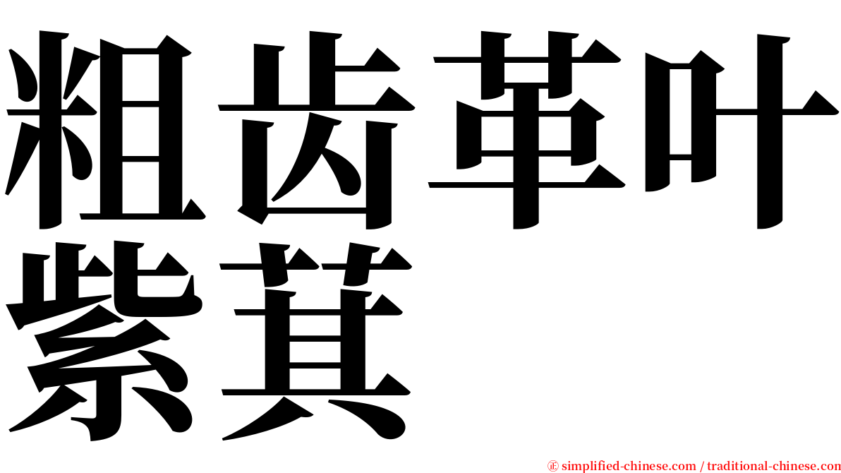 粗齿革叶紫萁 serif font