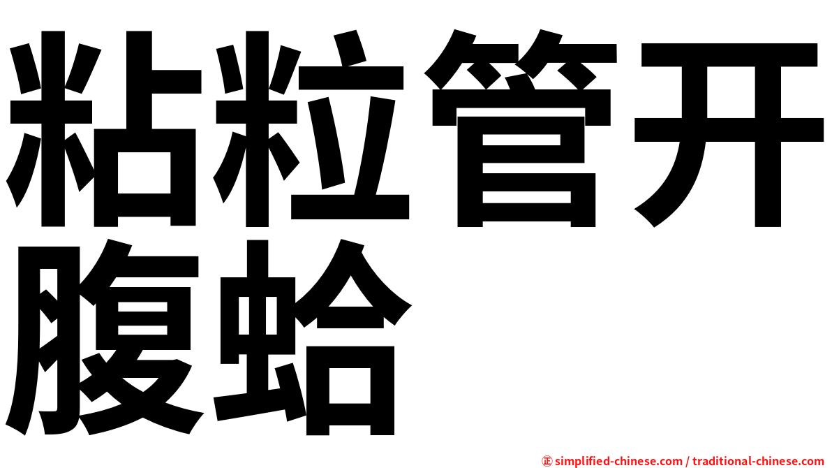 粘粒管开腹蛤