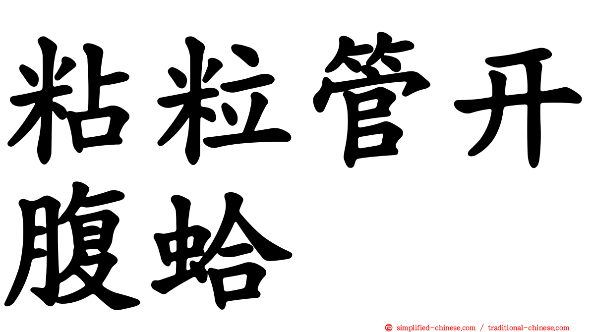 粘粒管开腹蛤