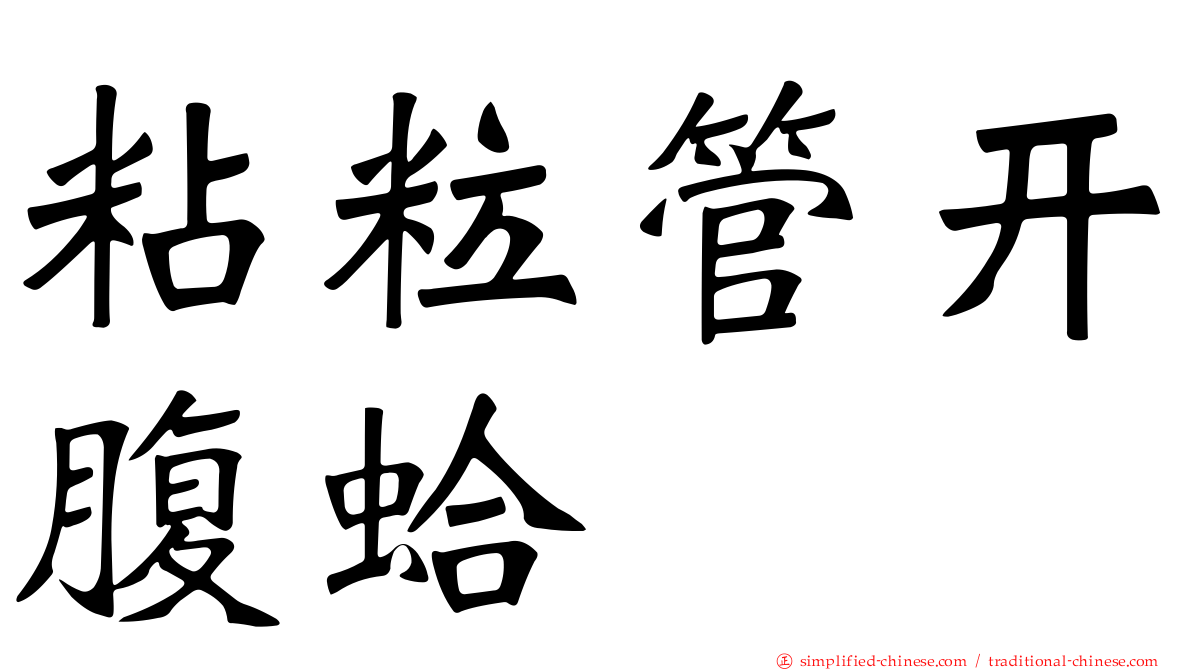 粘粒管开腹蛤