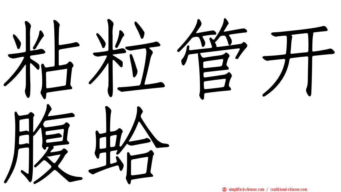 粘粒管开腹蛤
