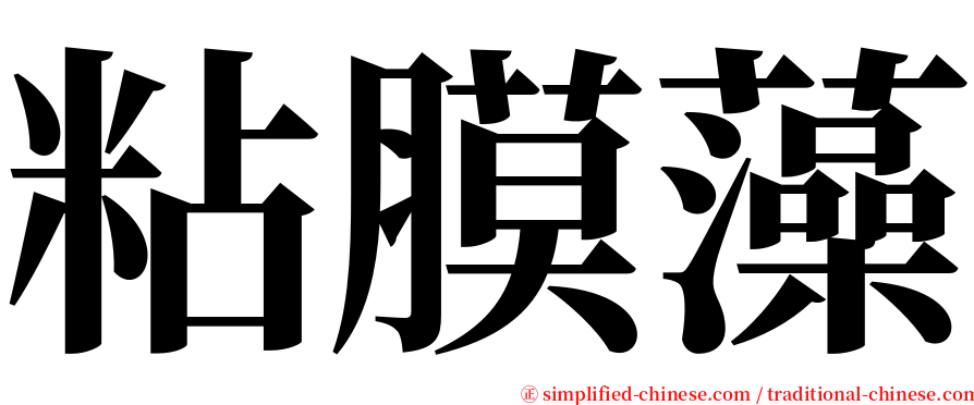 粘膜藻 serif font