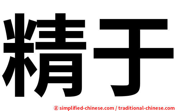 精于