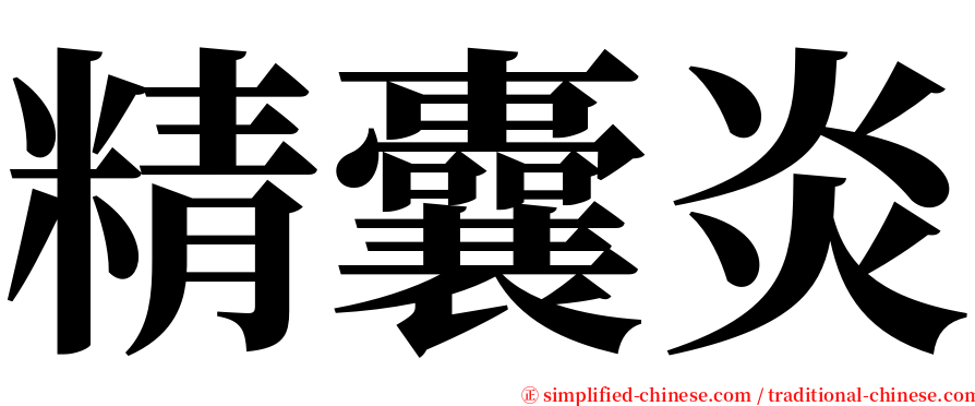 精囊炎 serif font