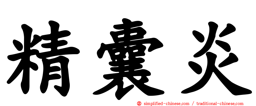精囊炎