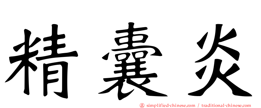 精囊炎