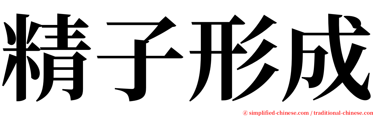 精子形成 serif font