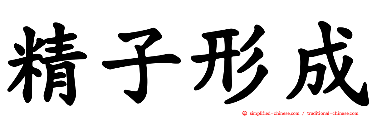 精子形成