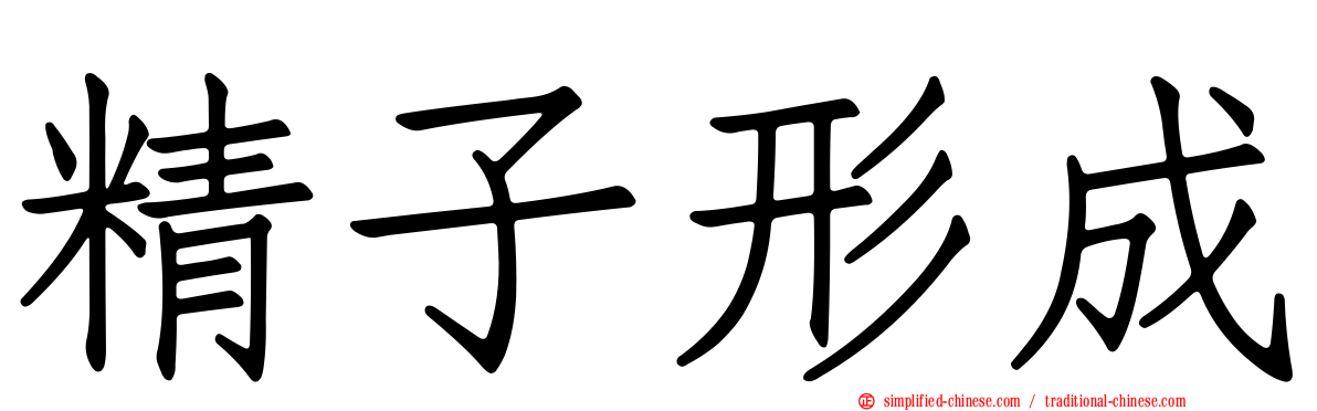 精子形成