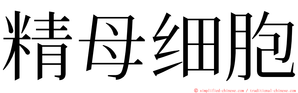 精母细胞 ming font