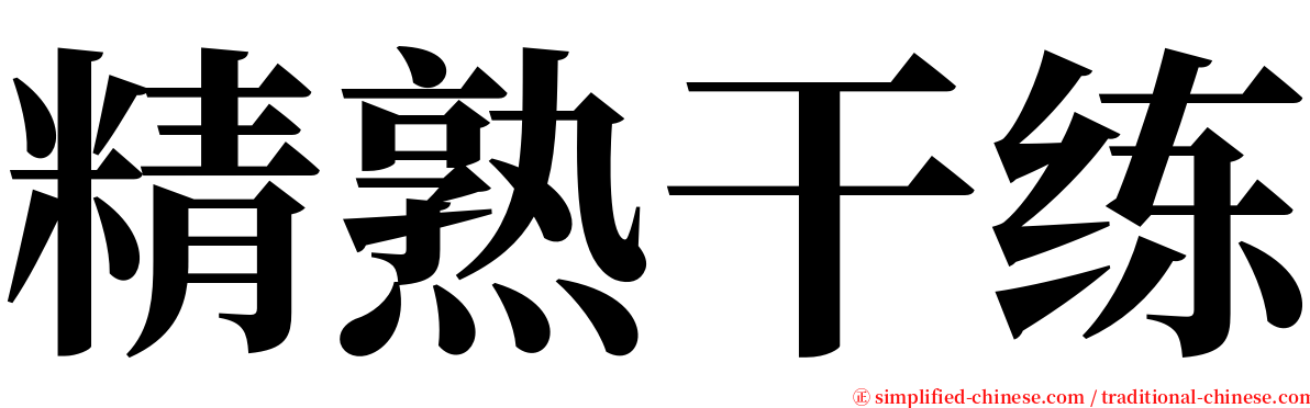 精熟干练 serif font
