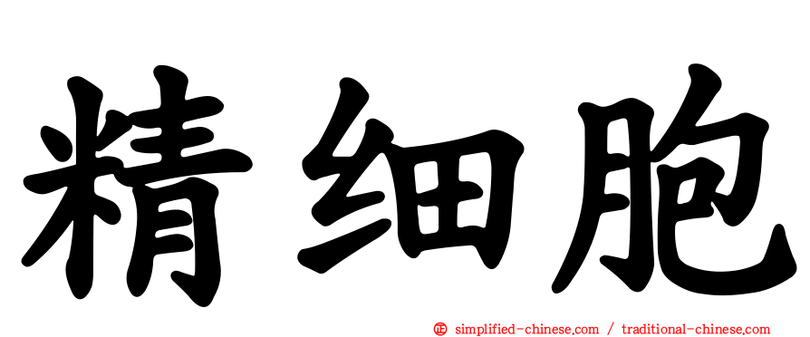 精细胞