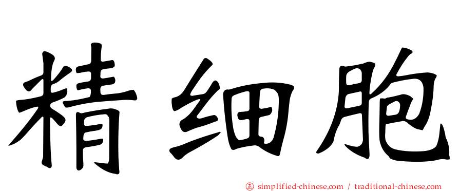 精细胞