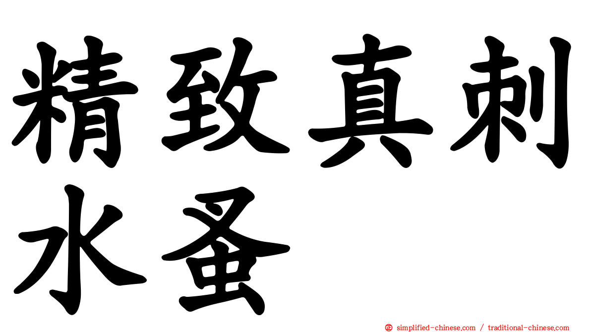 精致真刺水蚤