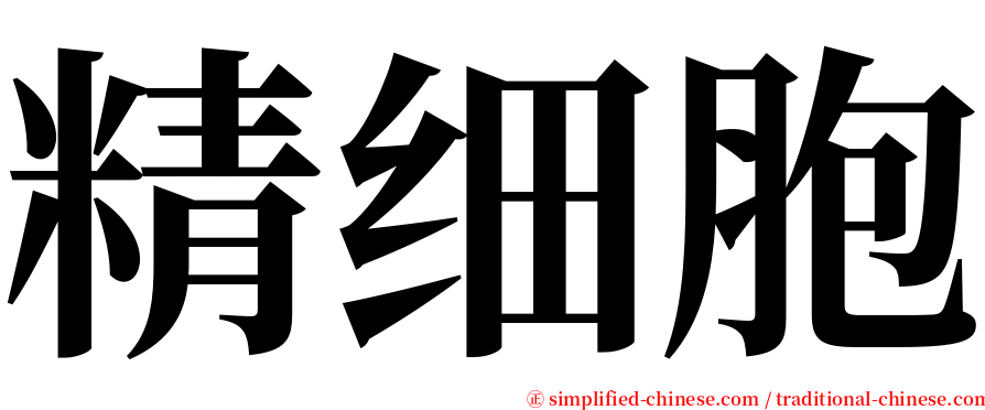 精细胞 serif font
