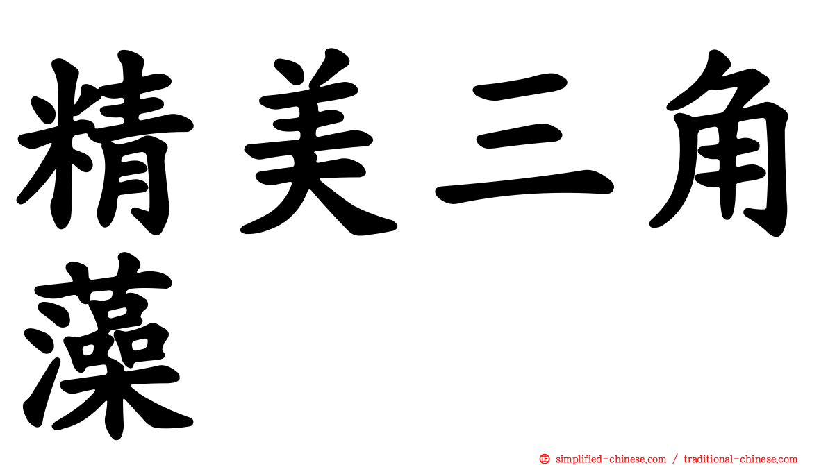 精美三角藻