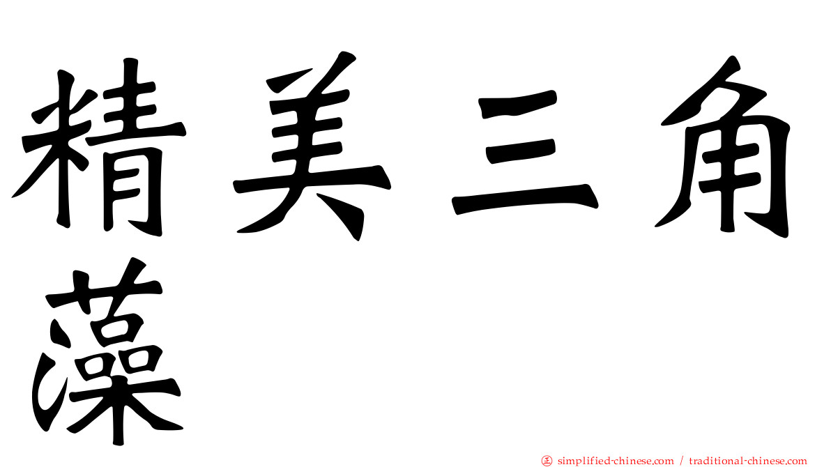 精美三角藻