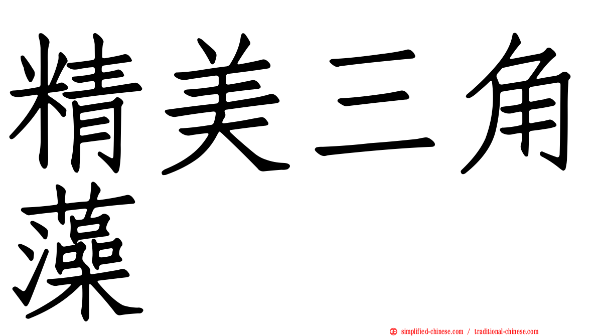精美三角藻