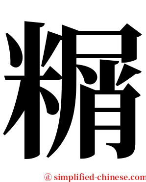 糏 serif font