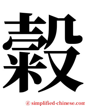 糓 serif font