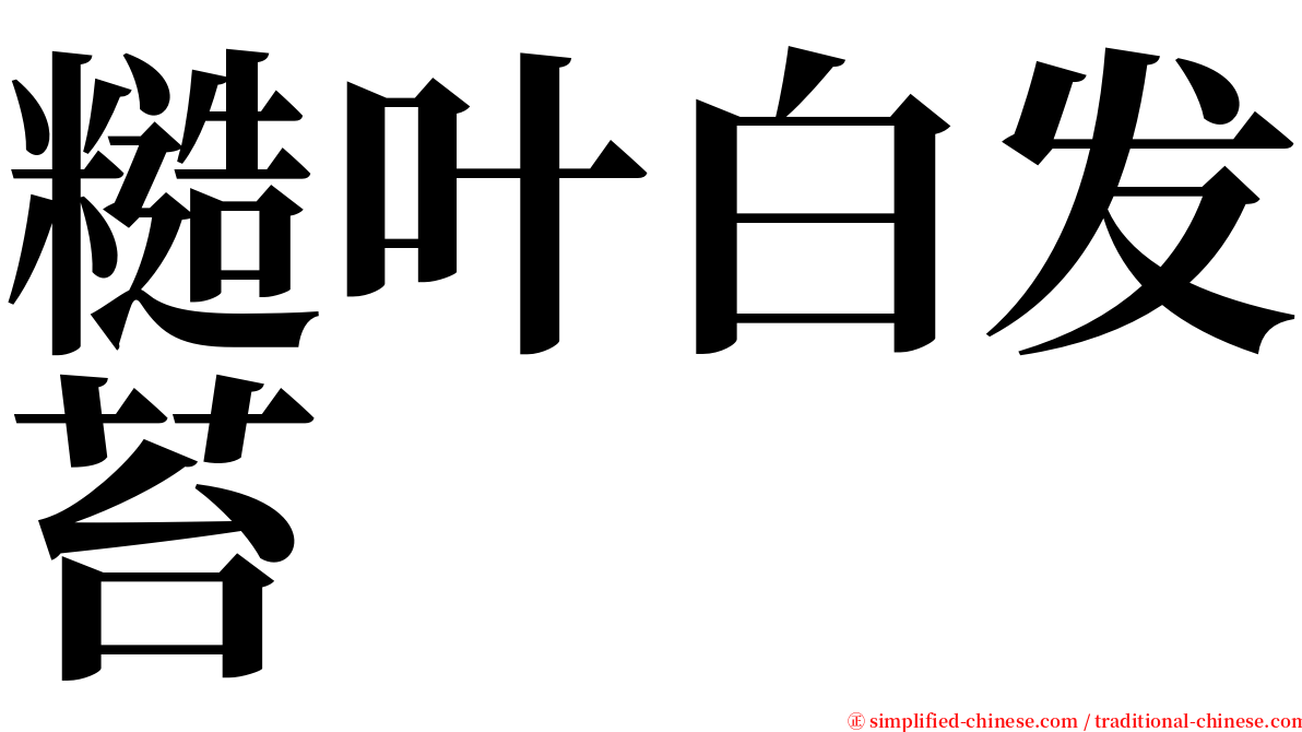 糙叶白发苔 serif font